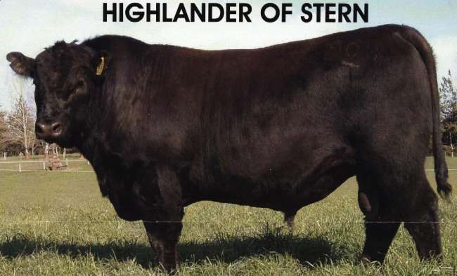 Highlander of Stern
