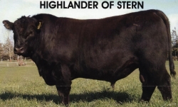 Highlander of Stern